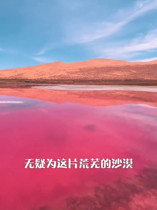巴丹吉林沙漠的粉红少女心一粉红湖，你知道它的形成原因吗?让我们一起打卡巴丹吉林沙漠吧! #巴丹吉林沙