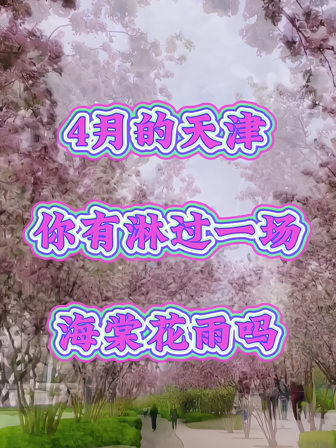 4月的天津你有淋过一场海棠花雨吗？
