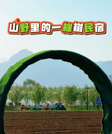 北京一棵树民宿图片