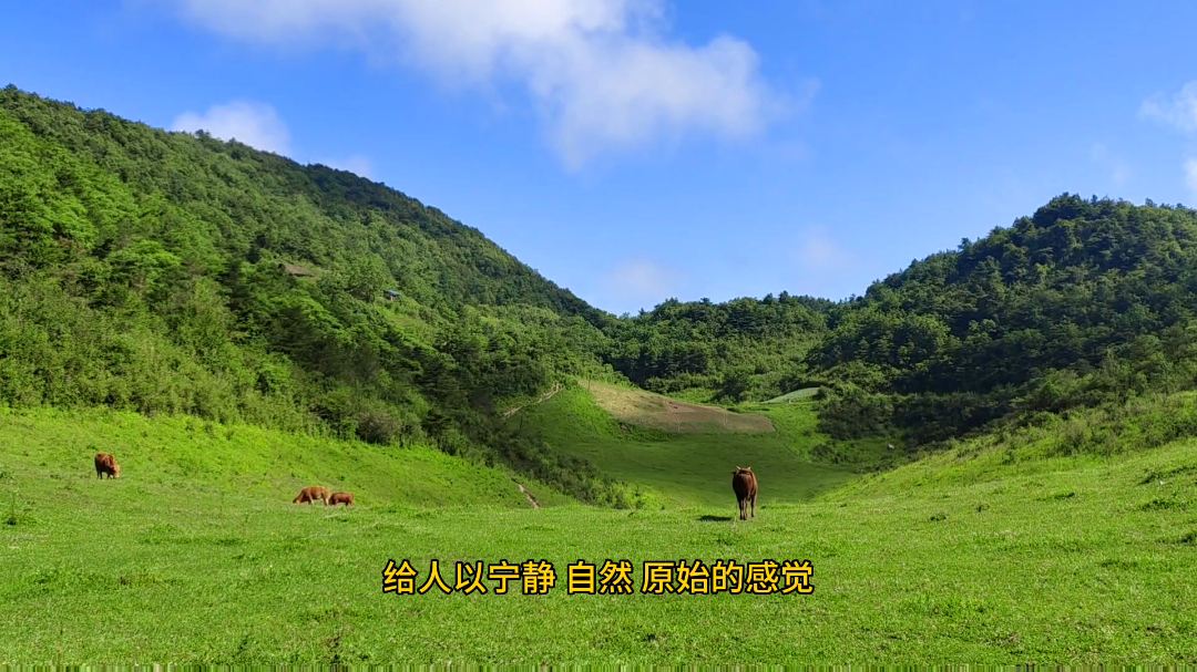 早知有草坝 何必去扎尕那？