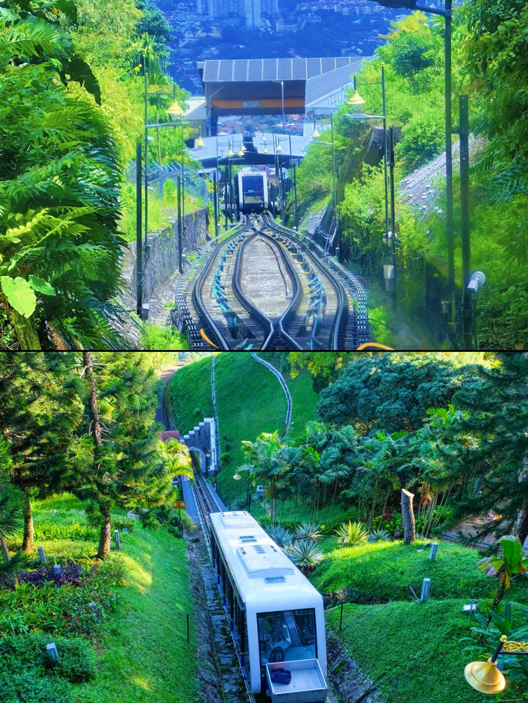 David Browns Restaurant and Tea Terraces