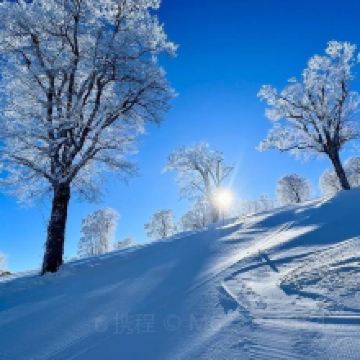 野泽温泉村图片