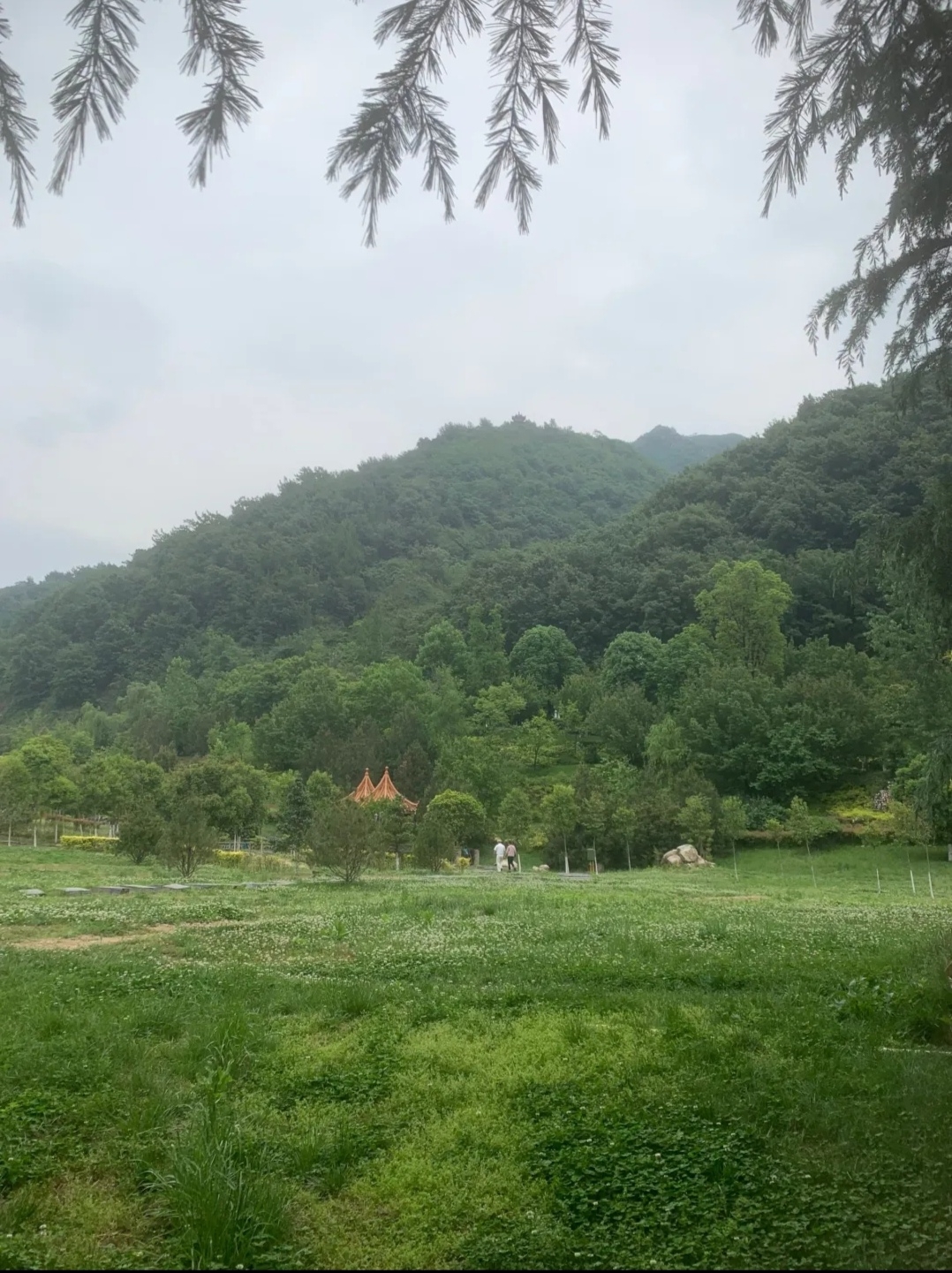 西安丨长安文化生态公园