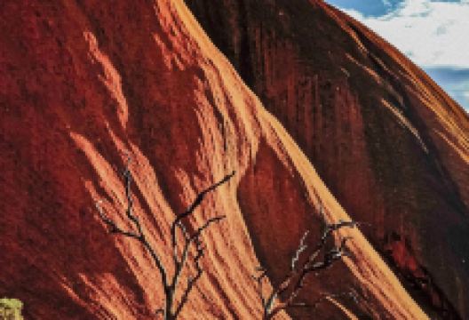 Gecko's Cafe美食图片