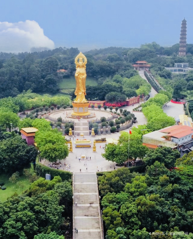 美到失语😱固广州莲花山荷花已开爆‼️