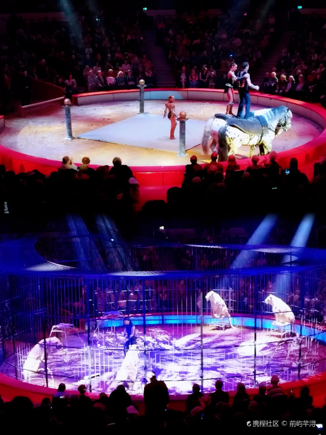 走进科龙马戏团:体验欧洲顶级马戏表演的魅力