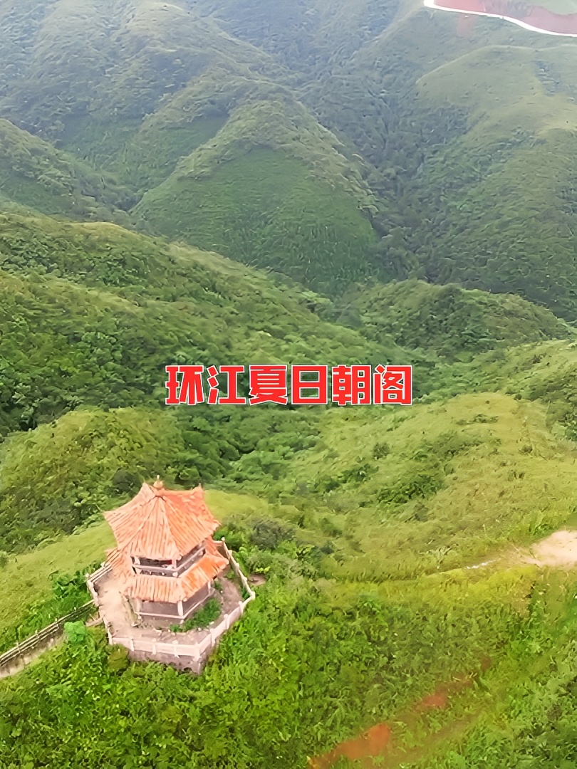 放眼望去，一片翠绿的景色，天然的养吧。#广西旅游