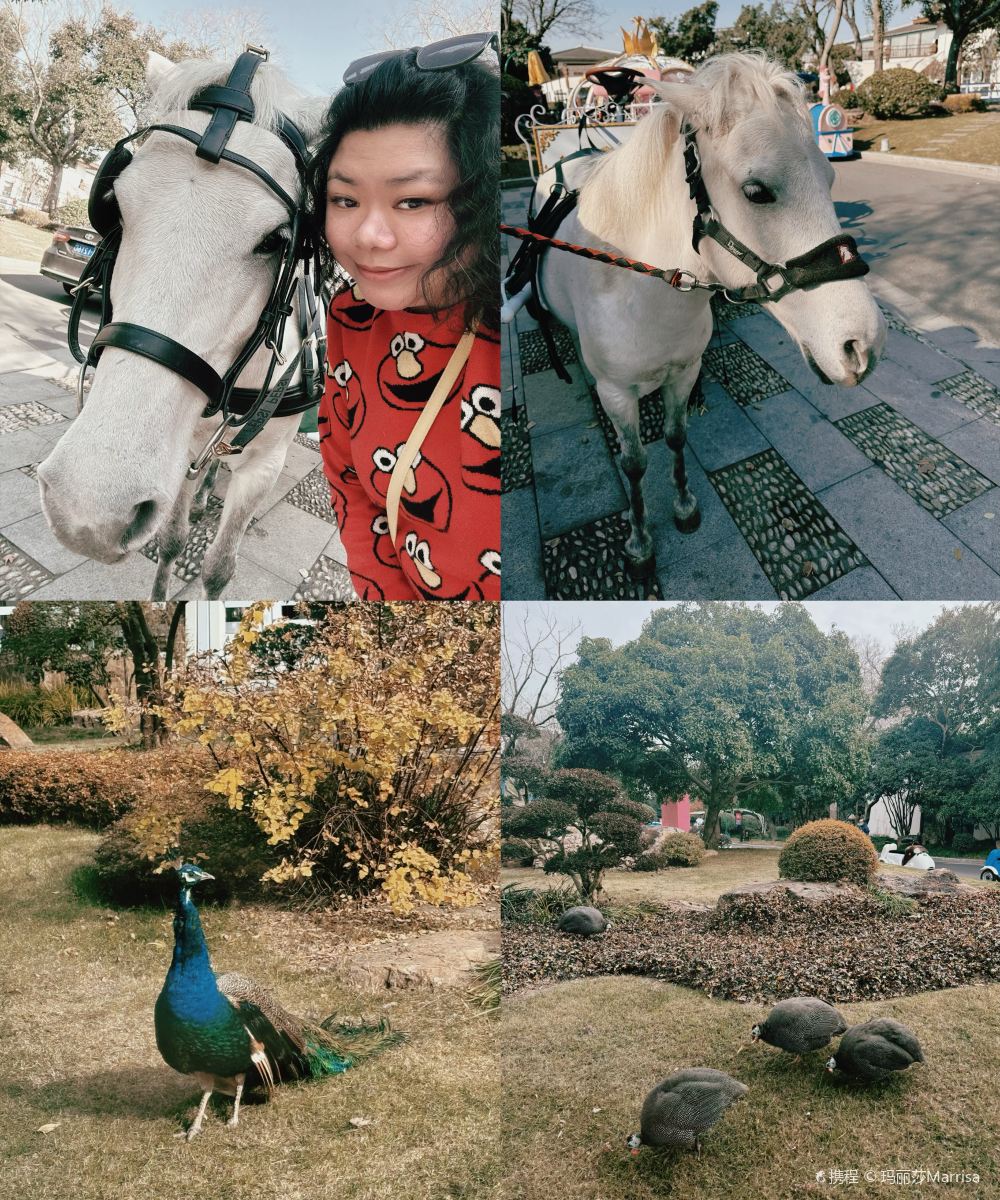 扬州瘦西湖温泉度假村图片