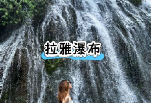 正宗苗家酸汤鱼美食图片