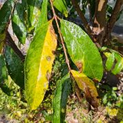 酷酷的小怪兽啊