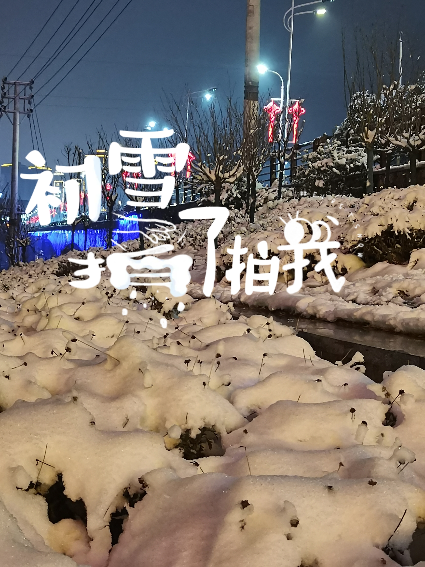 小县城下大雪后的夜晚。