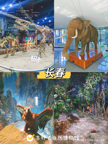 长春吉林省自然博物馆|哇喔居然有恐龙?