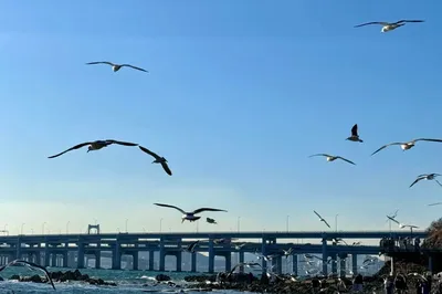 银沙滩公园