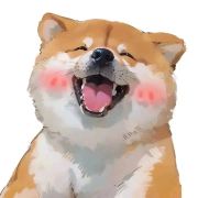 程里里里里