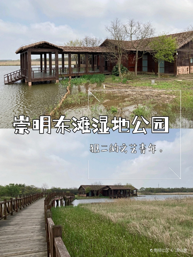 东滩湿地公园