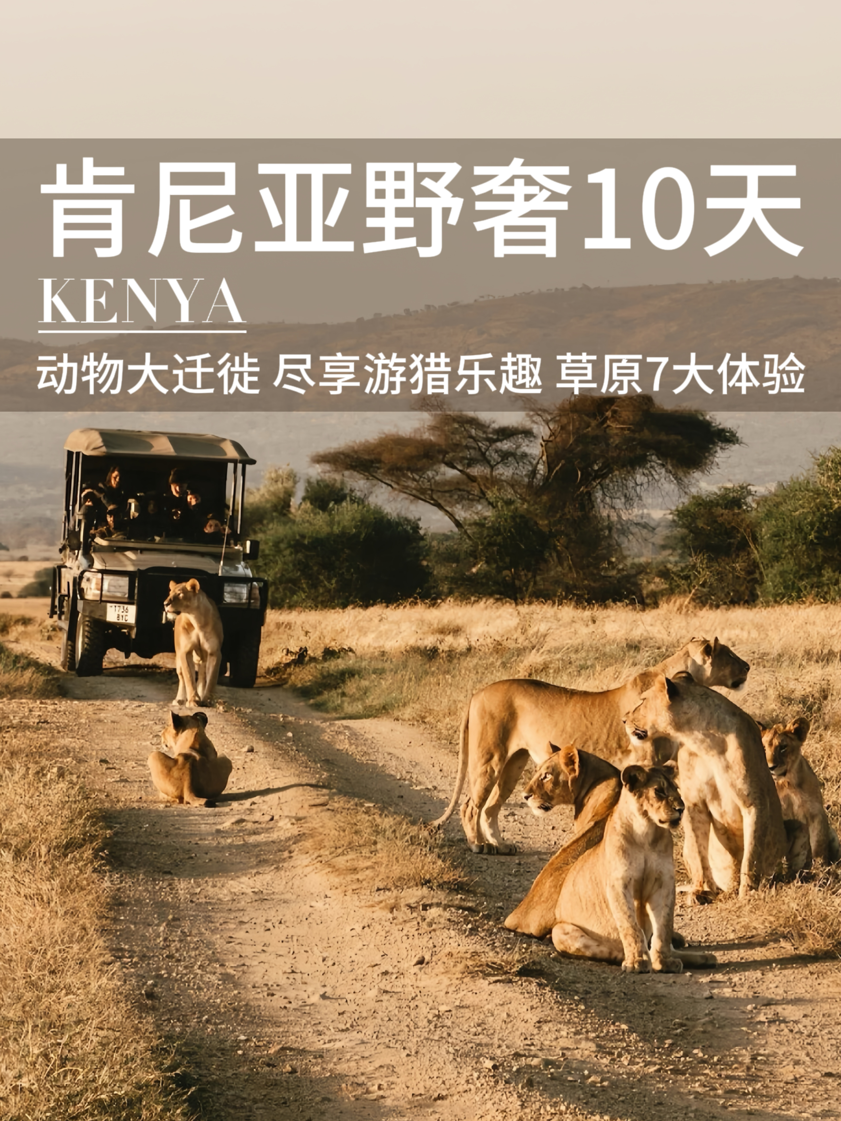 狂野非洲❗️肯尼亚后劲太大，后悔没早点去