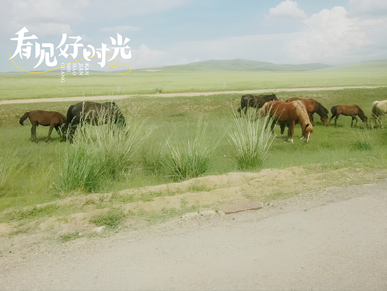 风吹草地见牛羊 #内蒙古大草原 乌兰察布草原 乌兰察布·内蒙古  📍详细地址： 内蒙古自治区乌兰察布