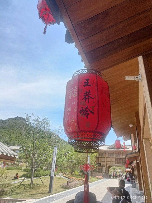 99景点地址:王莽岭风景区 07景点交通:50元景区中巴交通,包含上山