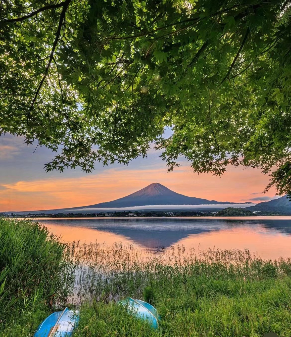 日本东京富士山一日游