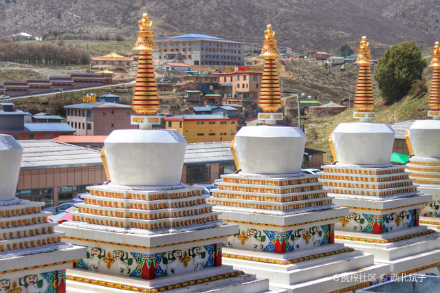 夏河旅游攻略!打卡新玩法