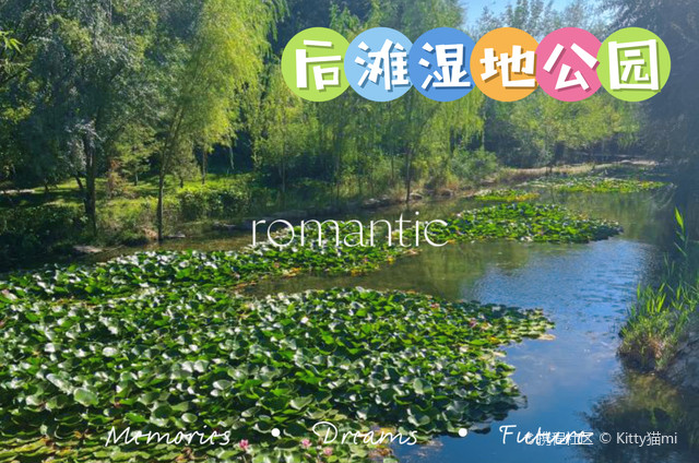 后滩公园游玩攻略来啦_超全干货