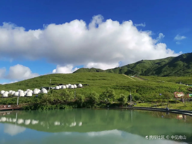 柘荣鸳鸯草场游玩攻略来啦_超全干货