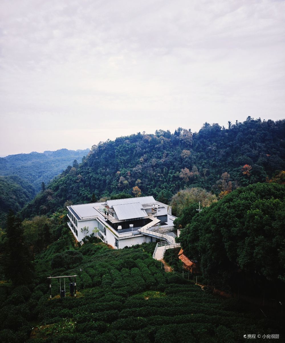 邛崃竹上花楸民宿图片