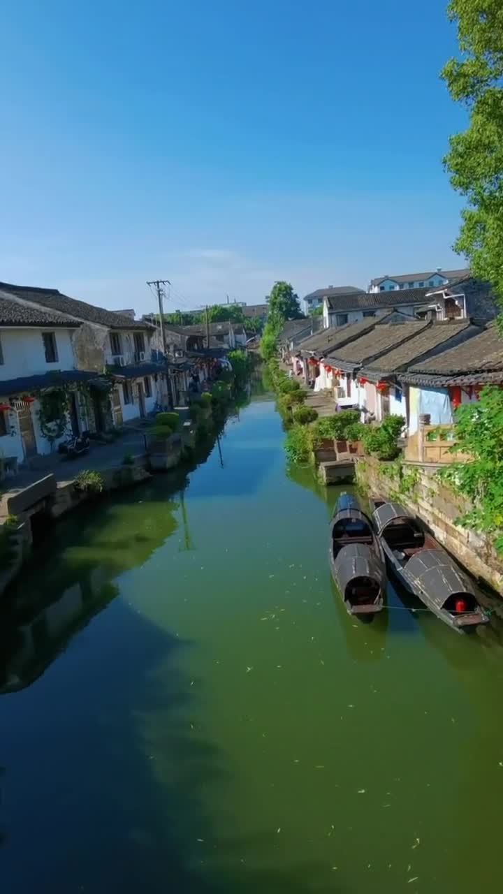 你一句春不晚，我就热死在真江南！