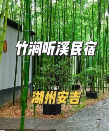 竹涧听溪·bamboo设计师美墅(安吉胖趣乐园店)图片