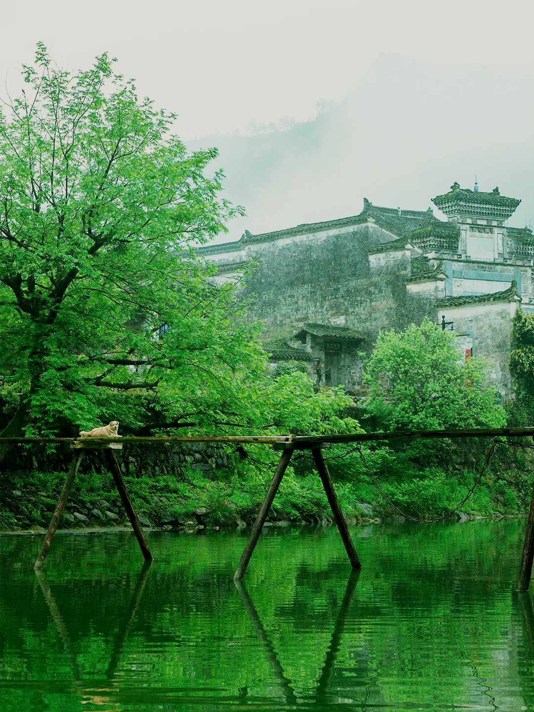 天青色等烟雨，而我在等你