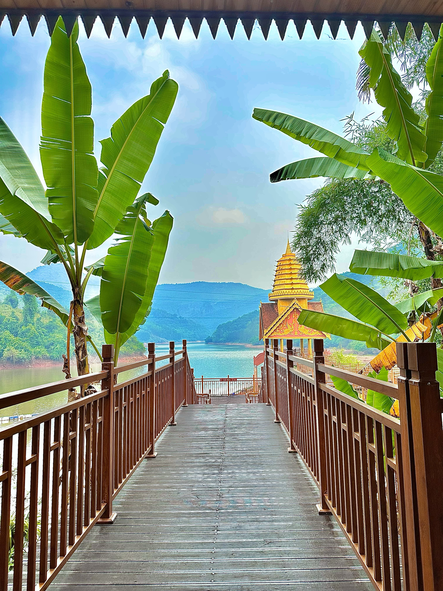 热带雨林望天树景区餐厅图片