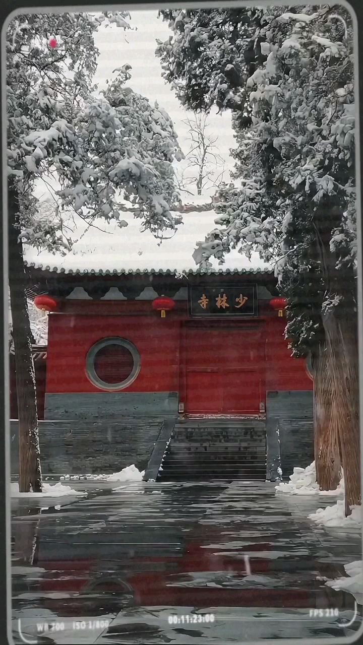 ❄️❄️❄️飞雪落成诗，一秒入仙境