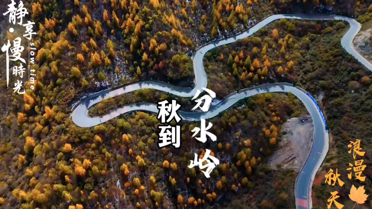 一个转身 秋天成了风景，冬天成了期待，努力生活，慢慢相遇#秋天的调色盘 #记录家乡美