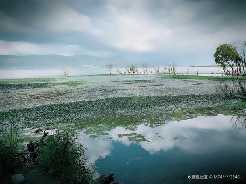 漫步丽江,邂逅浪漫