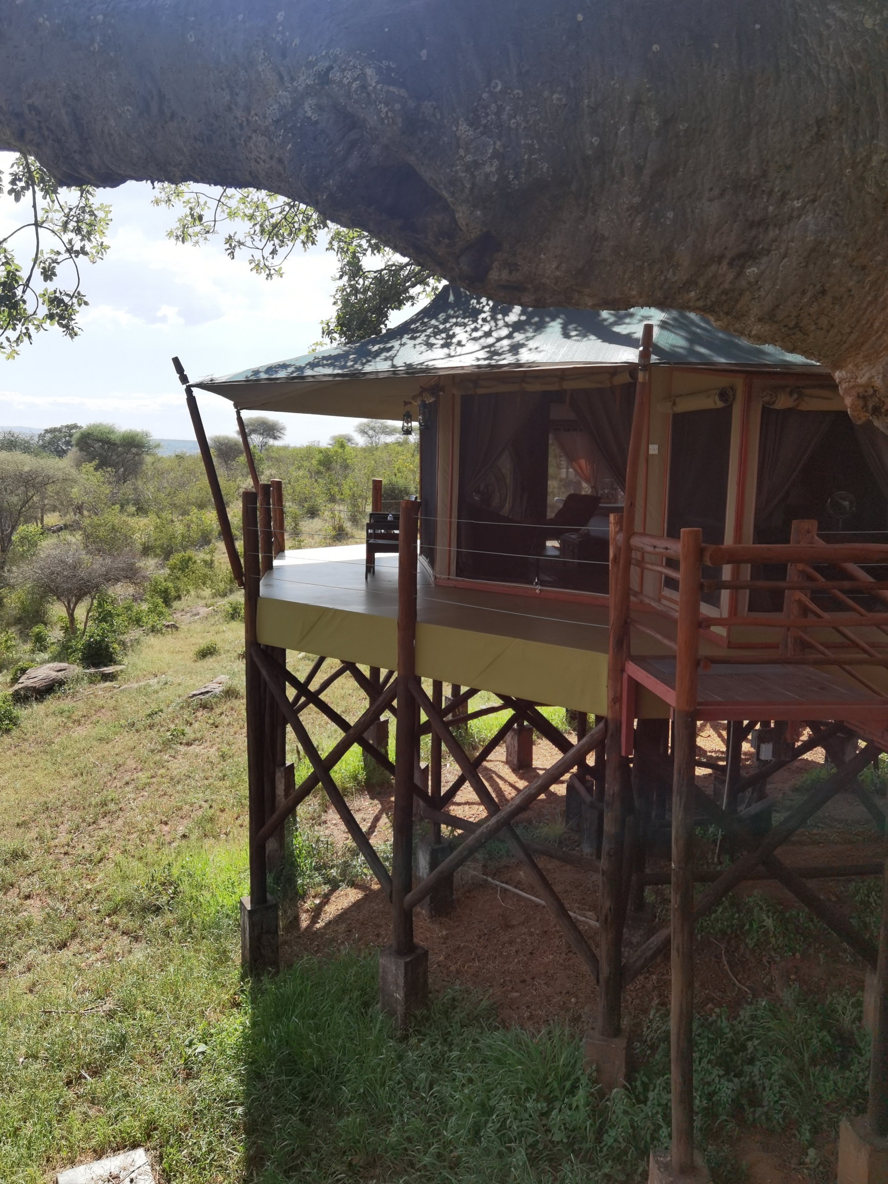 坦桑尼亚顶级野奢树顶酒店