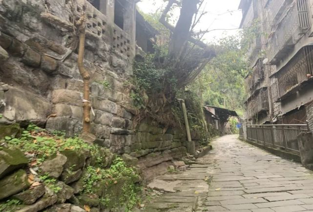 尧坝古镇街道蜿蜒曲折，总长约1000米，两旁是保存完好的民居群，其中有2000余间小青瓦房。上街房依