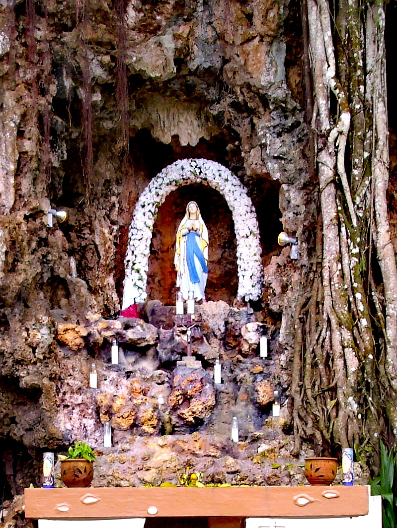 圣母像附近都是神奇的“双生树”🌳🌳