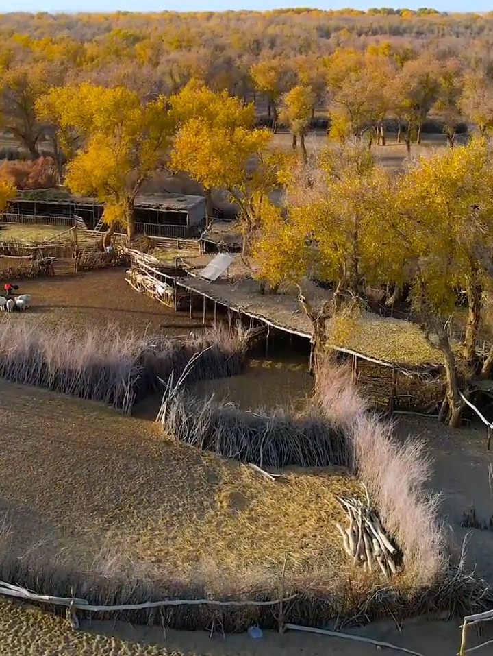 在新疆沙漠深处有着一个与世隔绝400年的古村落