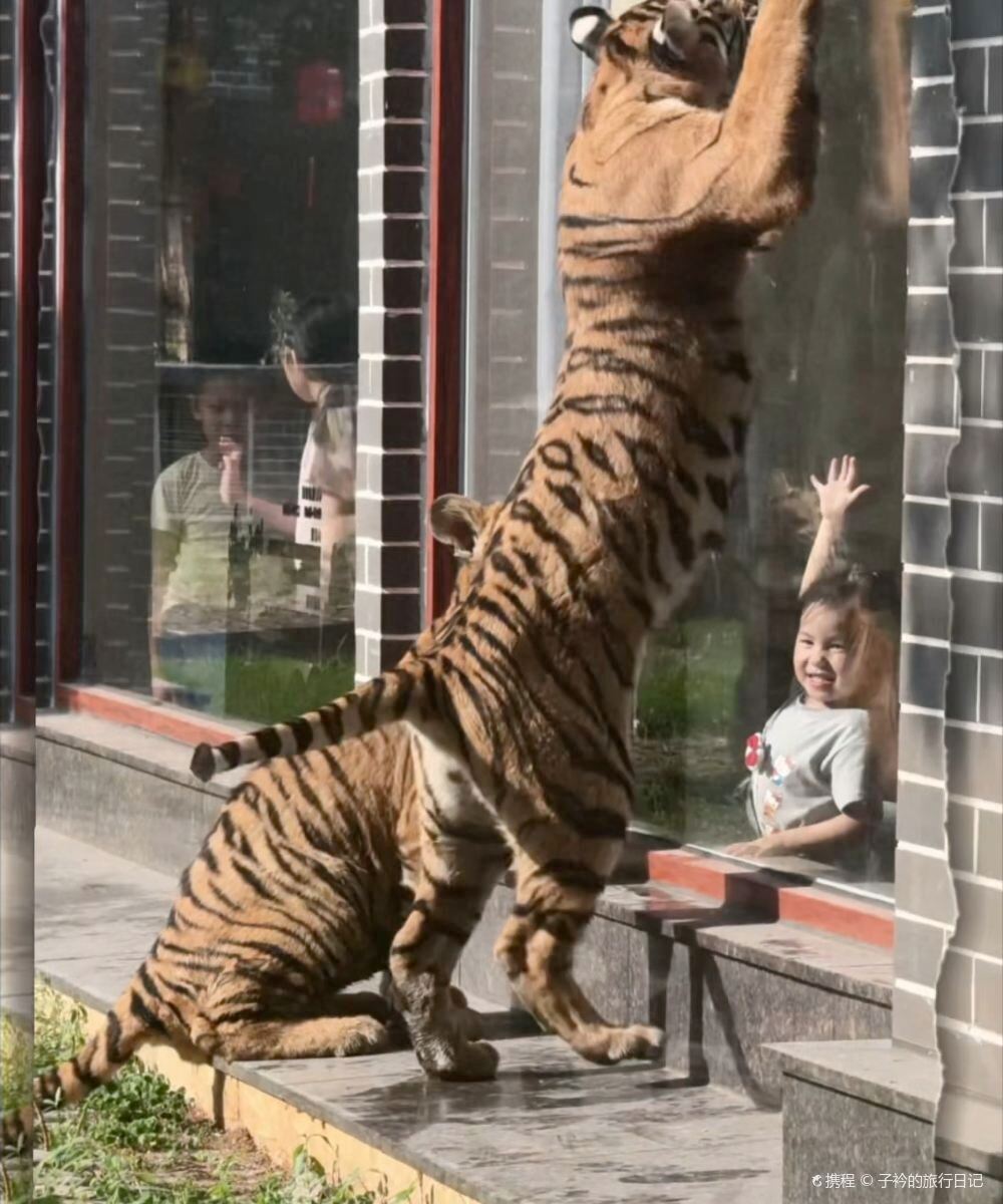 平南雄景生态酒店图片