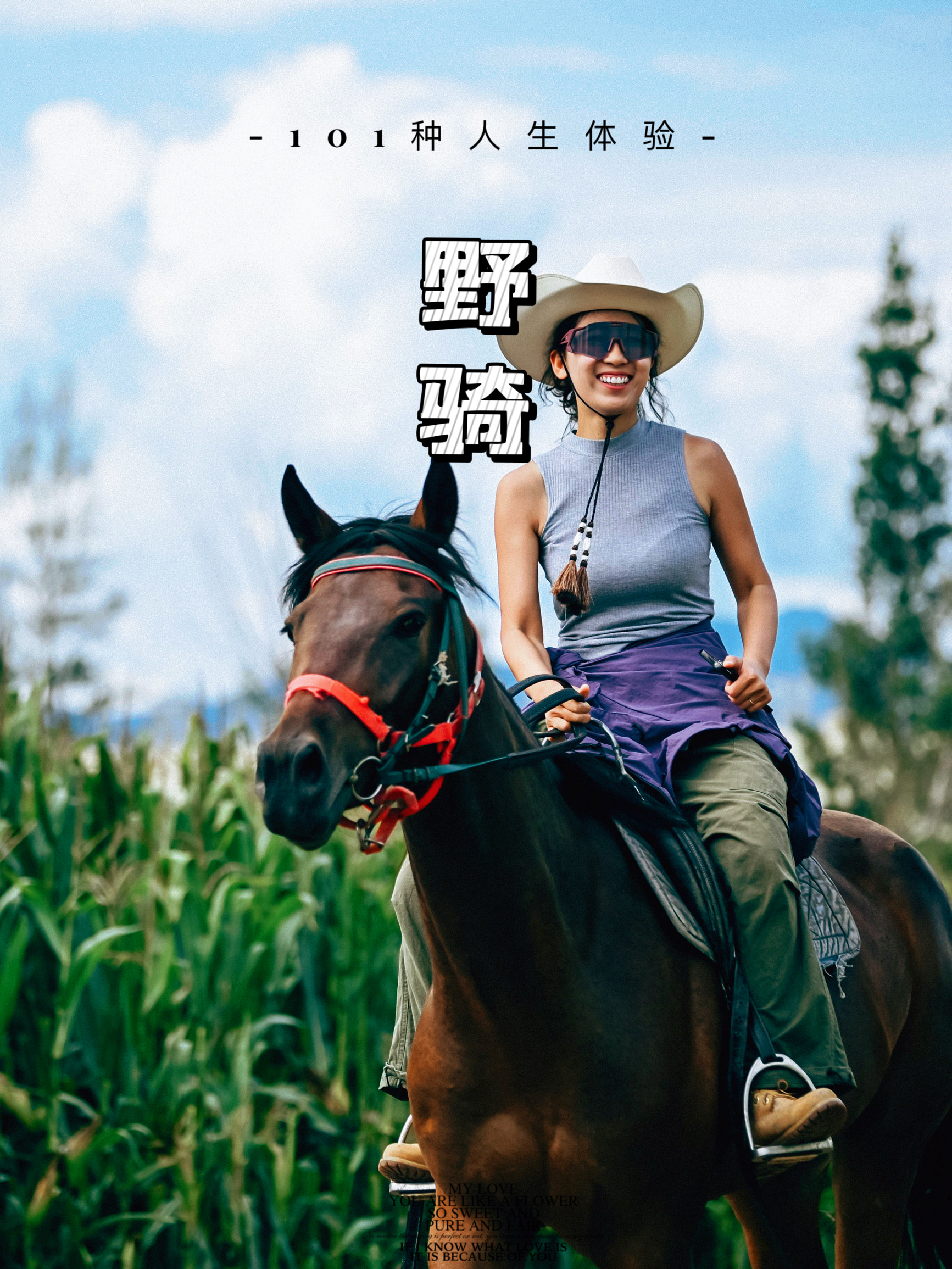 北京骑马｜湖畔风车下，骑马穿越万亩芦苇丛🌟