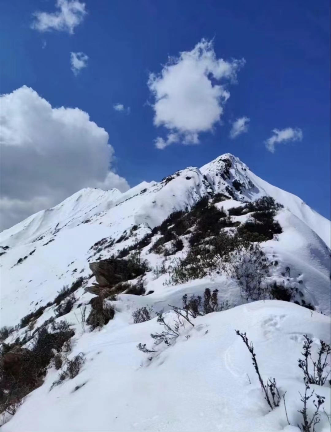 人生第一座山#打卡最美雪景 #不去这山就去纳山 雅拉香布神山