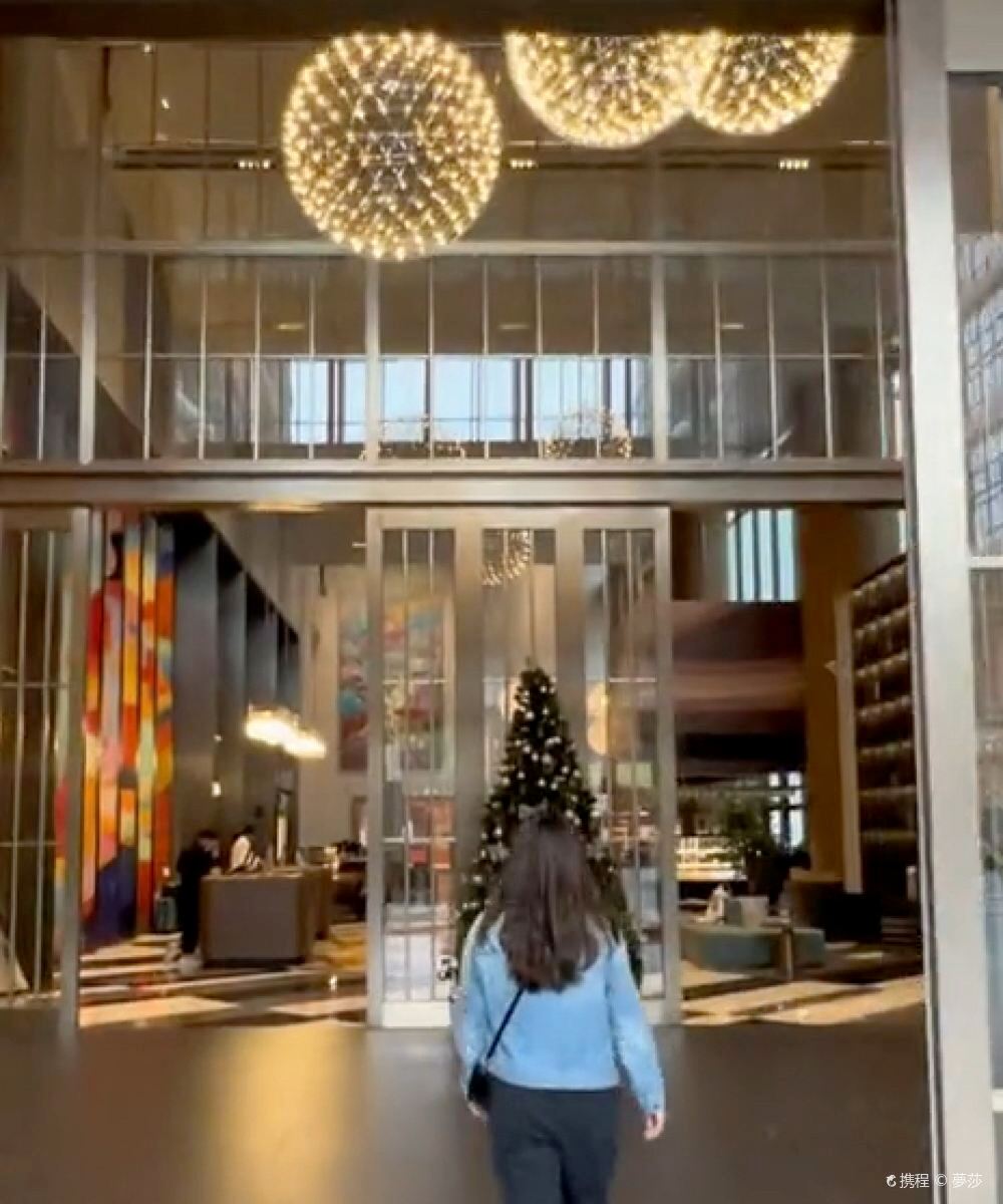 佛山王府井紫薇港逸扉酒店图片