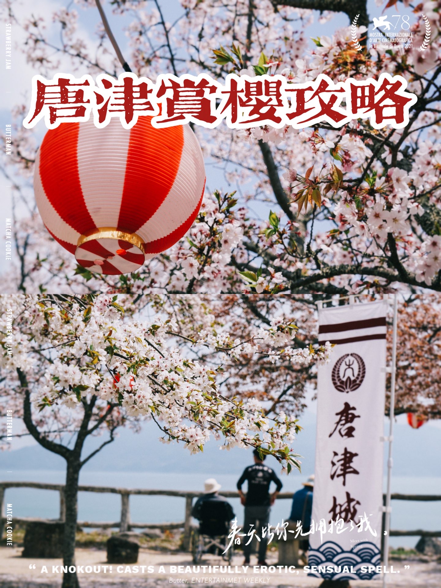 日本九州🌸唐津城🌸与海边的樱花一期一会