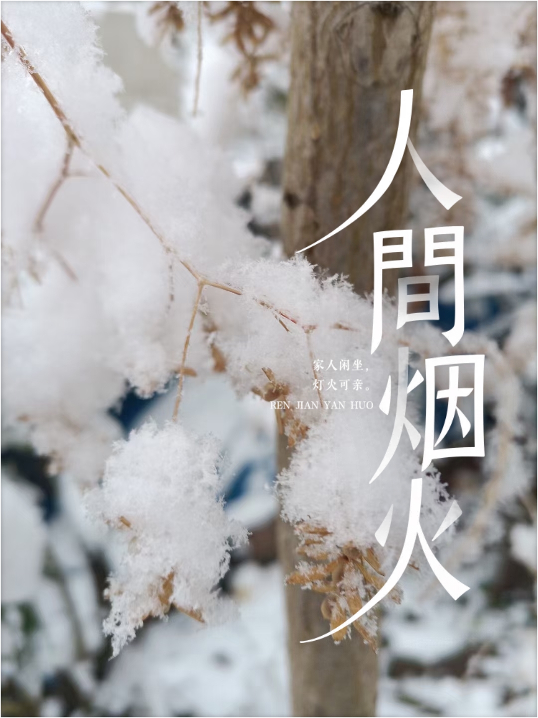 彭州宝山景区下雪啦~走进冬季冰雪童话森林  雪一落这里就美成了诗，仿佛人间仙境,成都周边超美雪景打卡