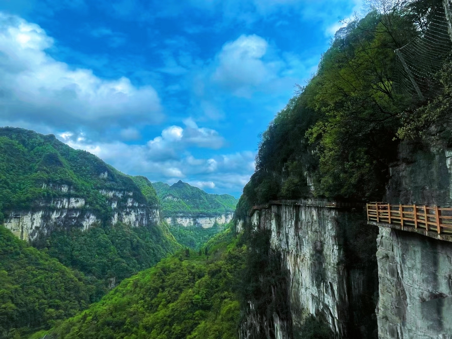 油杉河风景区