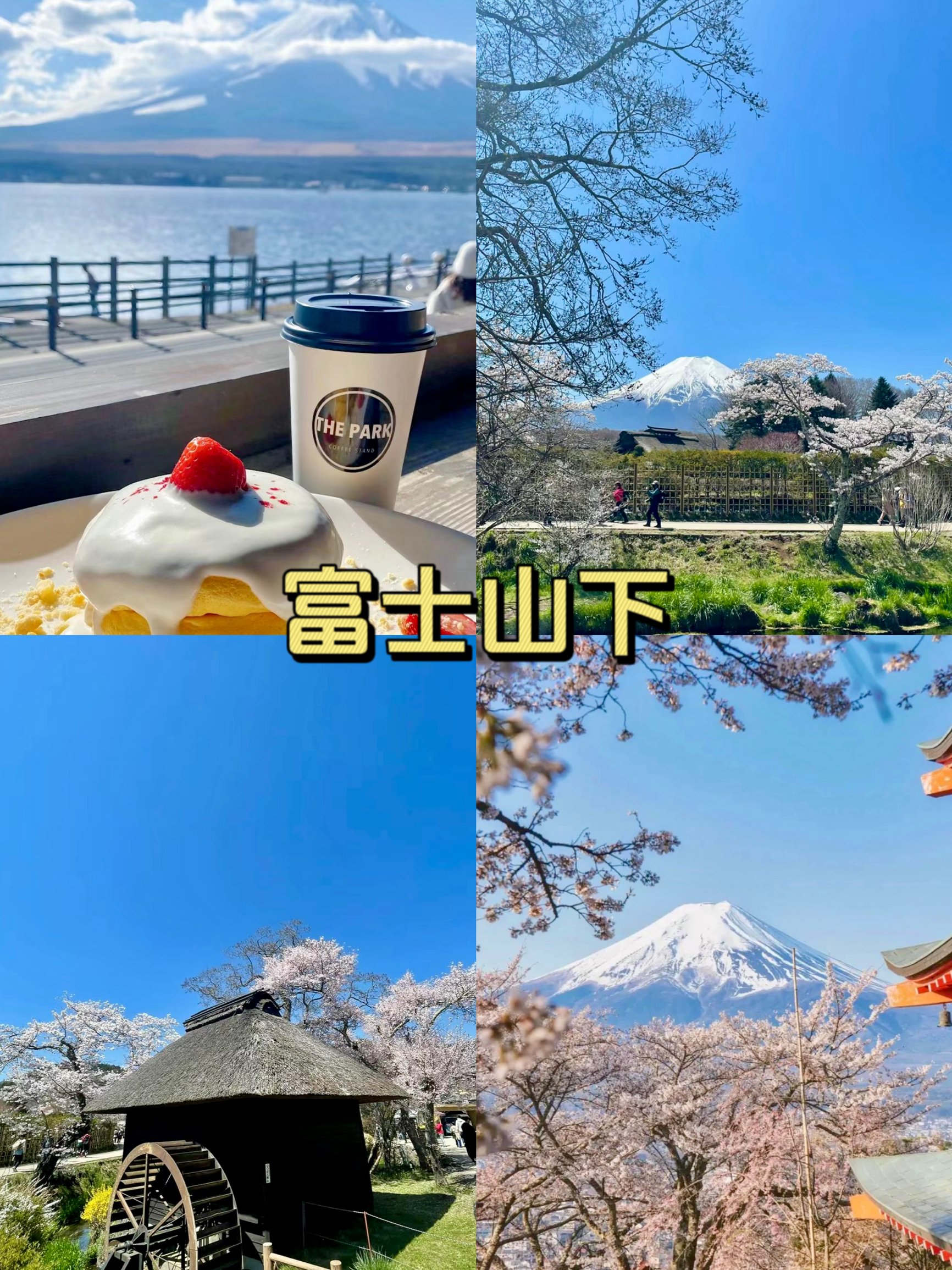 正值樱花季，富士山+樱花这些地方超出片