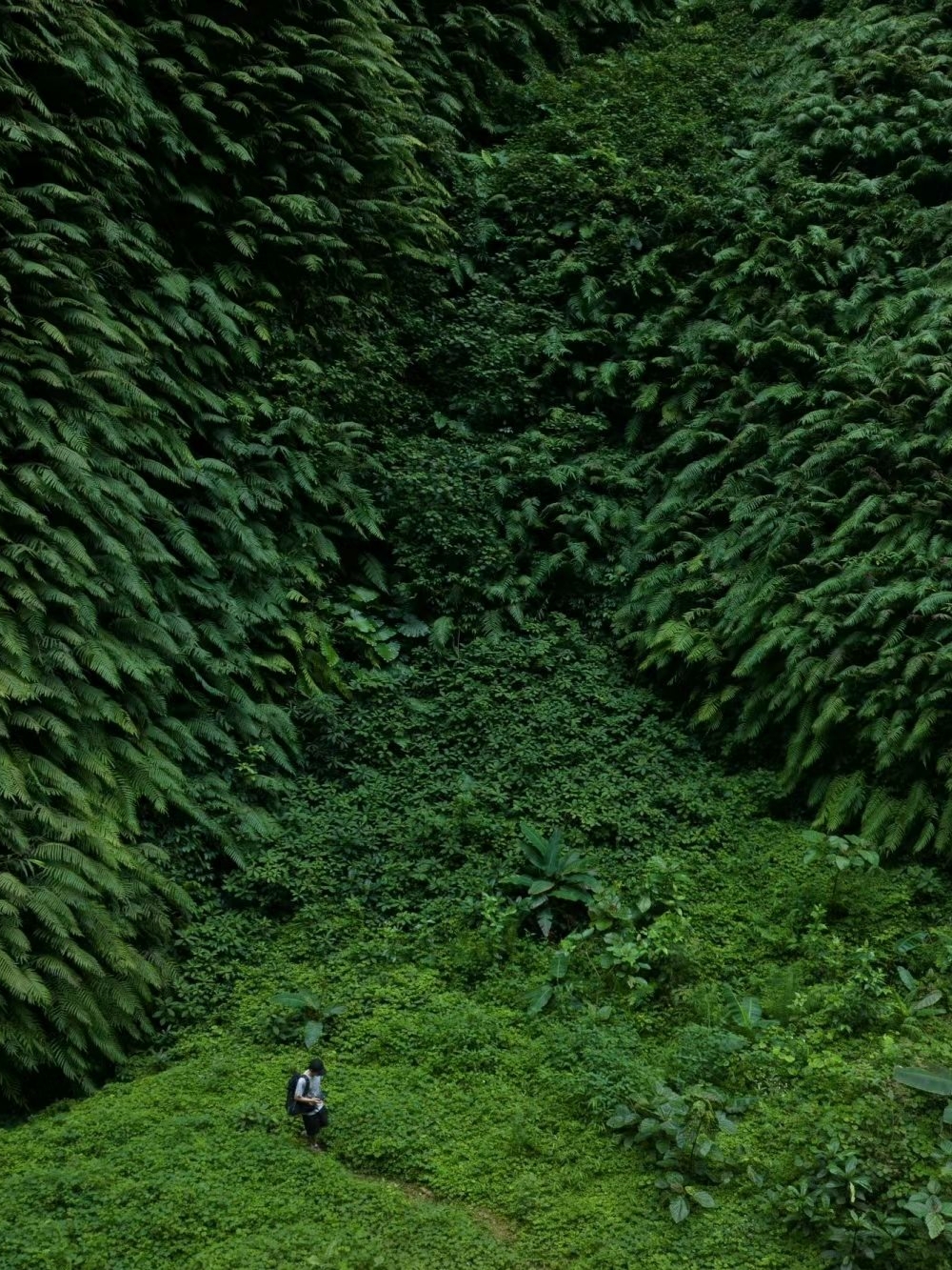 我宣布，这是广西最值得徒步的雨林瀑布峡谷