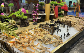 盛宴海鲜·牛排·烤肉自助料理(武宁店)