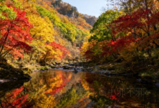 吴家山国家森林公园景点图片