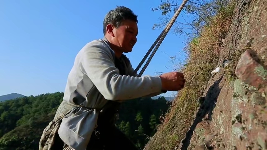 铁皮石斛被喻为我国十大仙草之首，据说具有起死回生的作用，民间也称还魂草。传说《白蛇传》中的白娘子为救